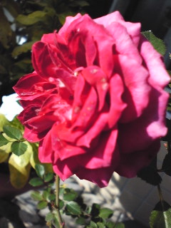 101120_103852.jpg