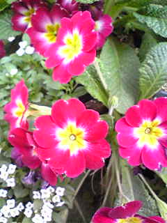 Image078.jpg