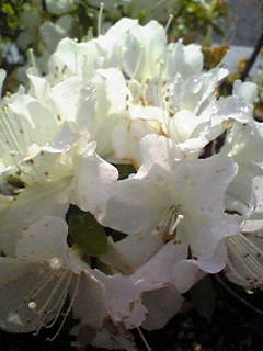 Image068.jpg