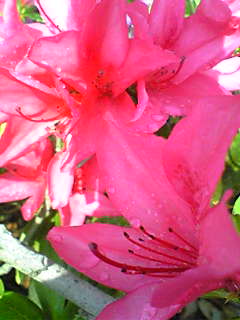 Image071.jpg