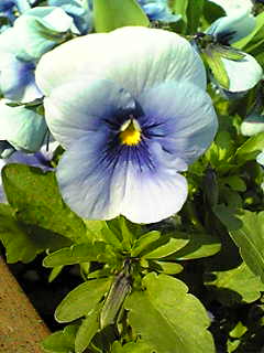 Image075~00.jpg