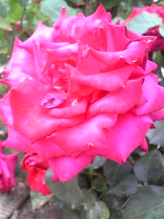 Image110.jpg