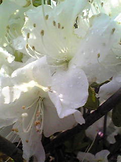 Image076~00.jpg
