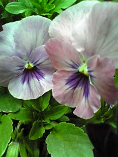 Image133~00.jpg
