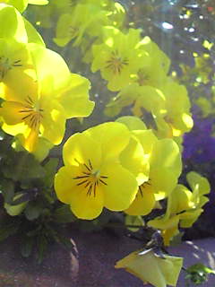 Image082~00.jpg
