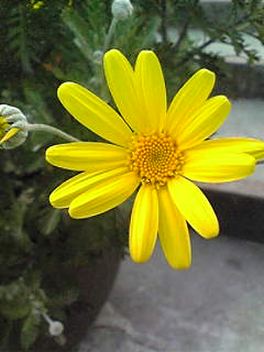 Image125~00.jpg