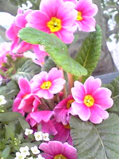 Image125.jpg