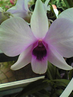 Image088~00.jpg