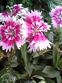 Image088~00.jpg