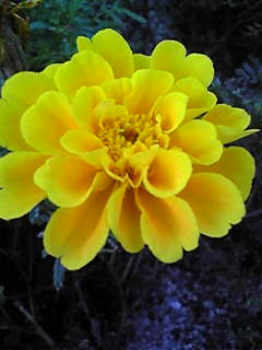 Image002.jpg