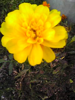 Image007.jpg