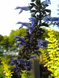 Image041.jpg