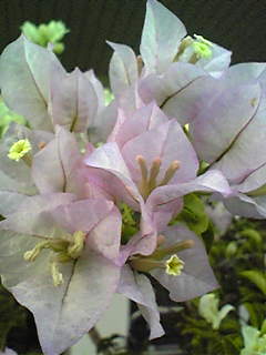 Image218~00.jpg