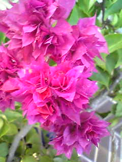 Image203.jpg