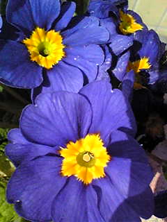 Image011.jpg