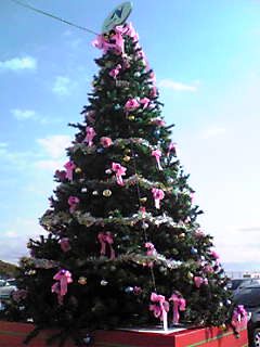 Image021.jpg