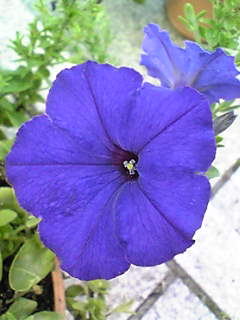 Image071~00.jpg