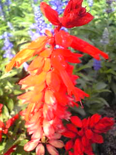 Image018.jpg