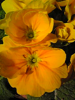 Image012.jpg