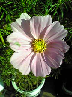 Image025.jpg