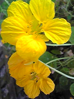 Image158~00.jpg