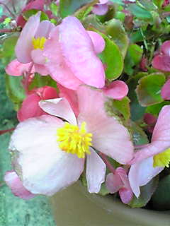 Image059~00.jpg