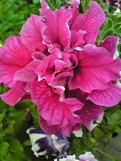 Image075.jpg