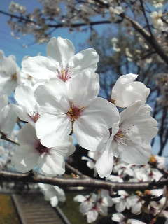 100406_153434.jpg