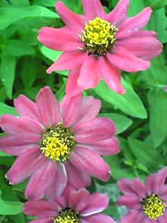 Image142.jpg