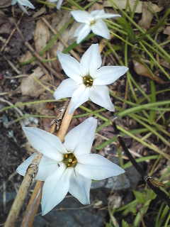 100418_162750.jpg