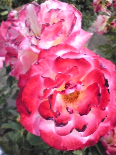 100612_153448.jpg